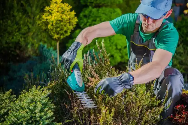 landscaping services Waynesburg